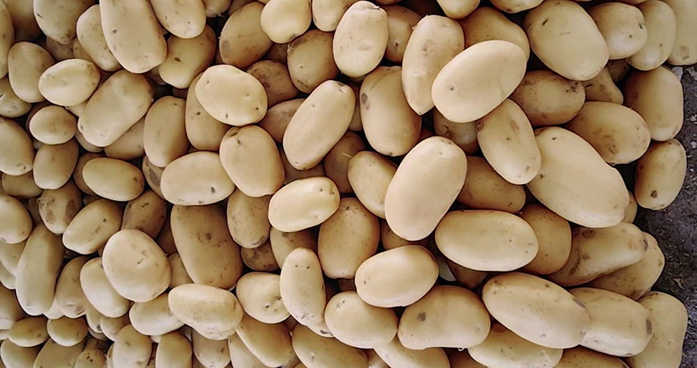 upload/20240826134919.jpg